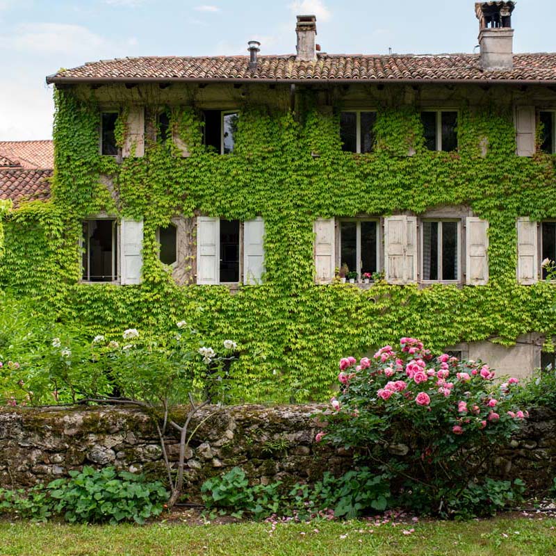 25 – 26 – 27 Aprile 2025 – apertura Palazzo – Festival delle Dimore Storiche del Friuli Venezia Giulia – 3a edizione